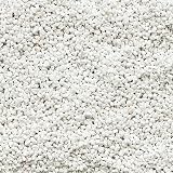 bhomescent Premium Horticultural Perlite 3–5mm 5L Fresh-Packed view 3