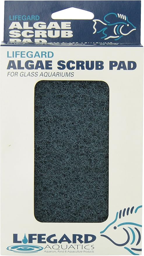algae pads