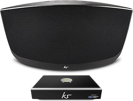 multiroom audio wireless