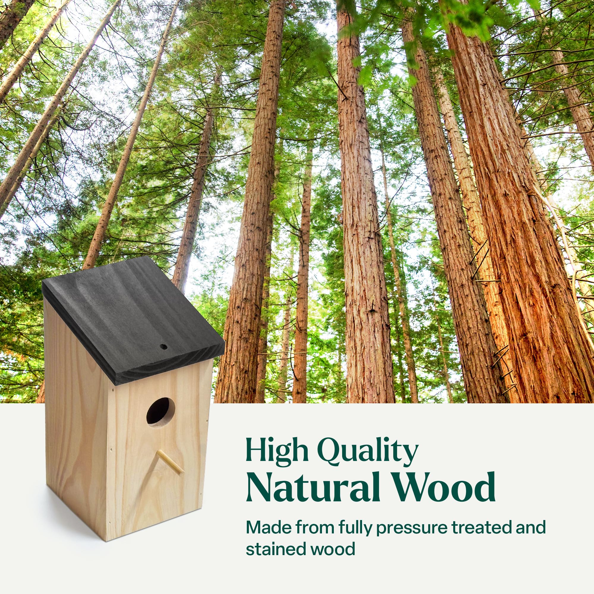 View 4