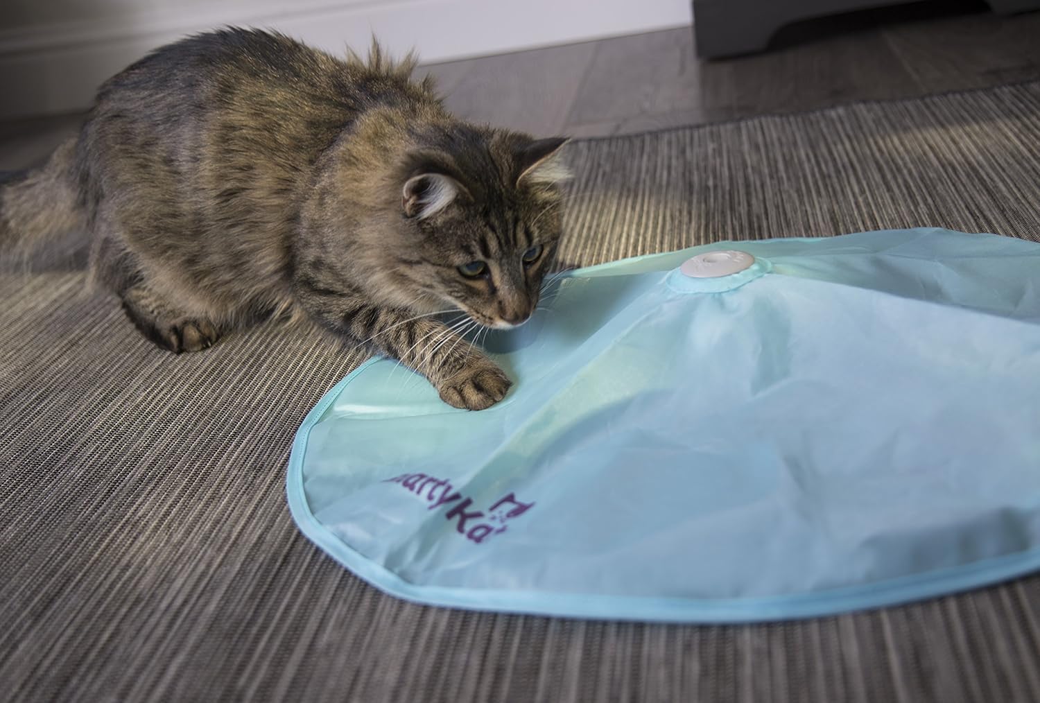 SmartyKat Hot Pursuit Cat Toy Concealed Motion Toy : Pet Supplies