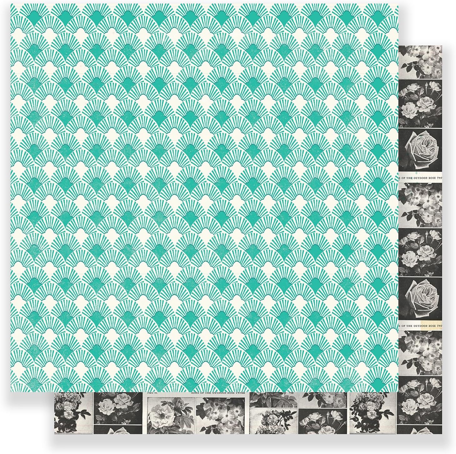 Maggie Holmes 12 x 12 Paper Charlotte (25 Pack), 12-x-12-Inch