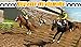 Horse Derby Quest 2020
