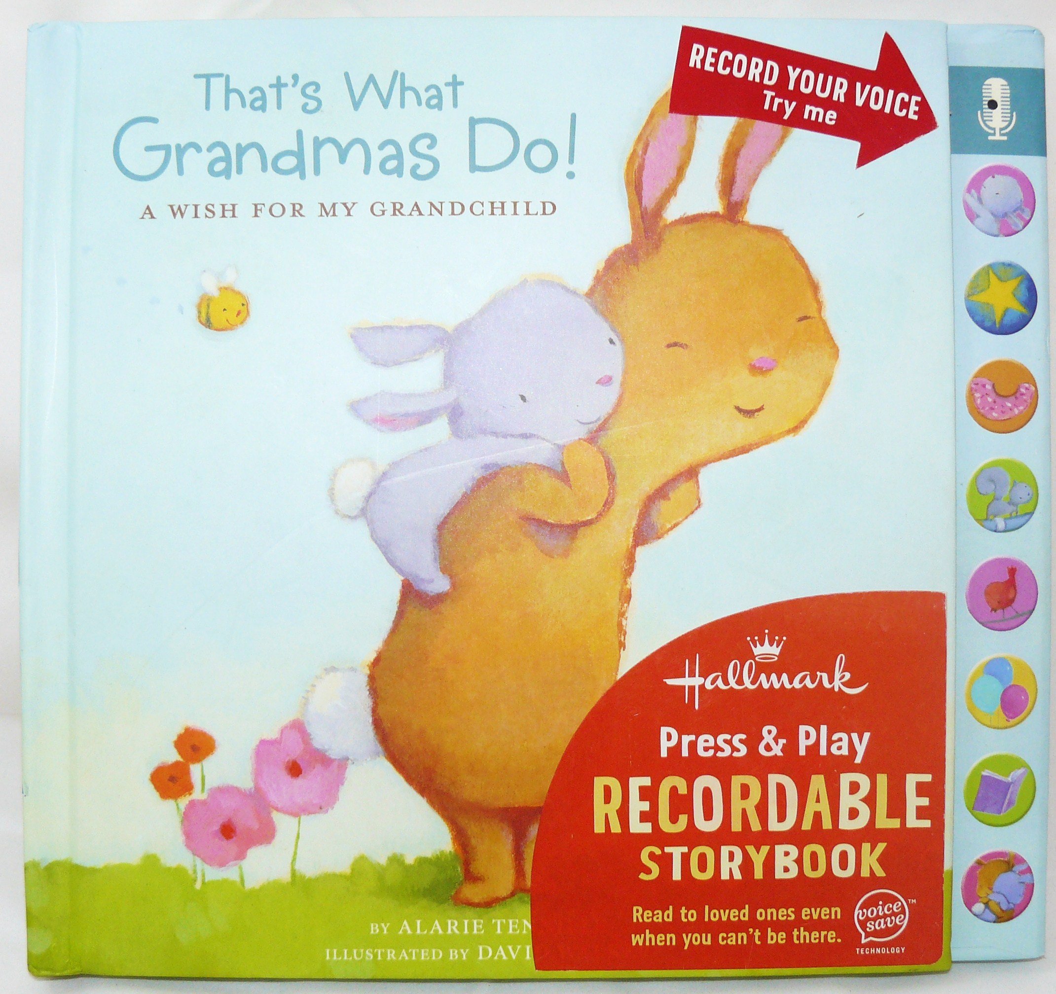 Hallmark Recordable Books For Grandparents Hallmark Recordable