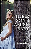 The Pregnant Amish Nanny Expectant Amish Widows Book 6