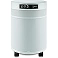 Airpura C700 DLX - Chemicals and Gas Abatement Plus Air Purifier (WHITE)