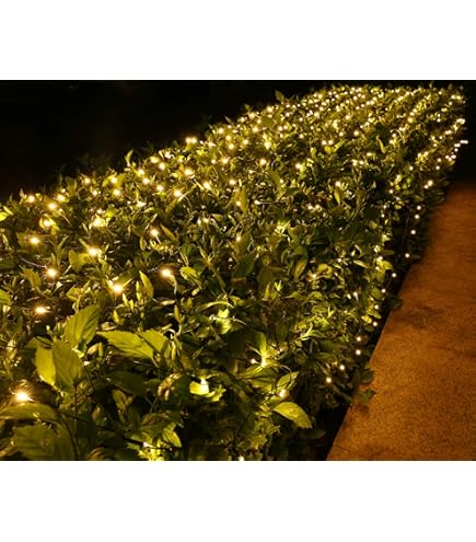 880 LED Kerstverlichting For Buiten, 6m X 4m Gaas, Feeënsnoer, Stekkerklaar Met Afstandsbediening, Timer, 8 Standen, Waterdicht, In De Boom(Cool White,1.5m x 1.5m 96led