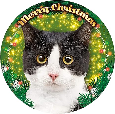 Lampe Led De Noel Sur Le Theme Du Chat Noir Et Blanc Amazon