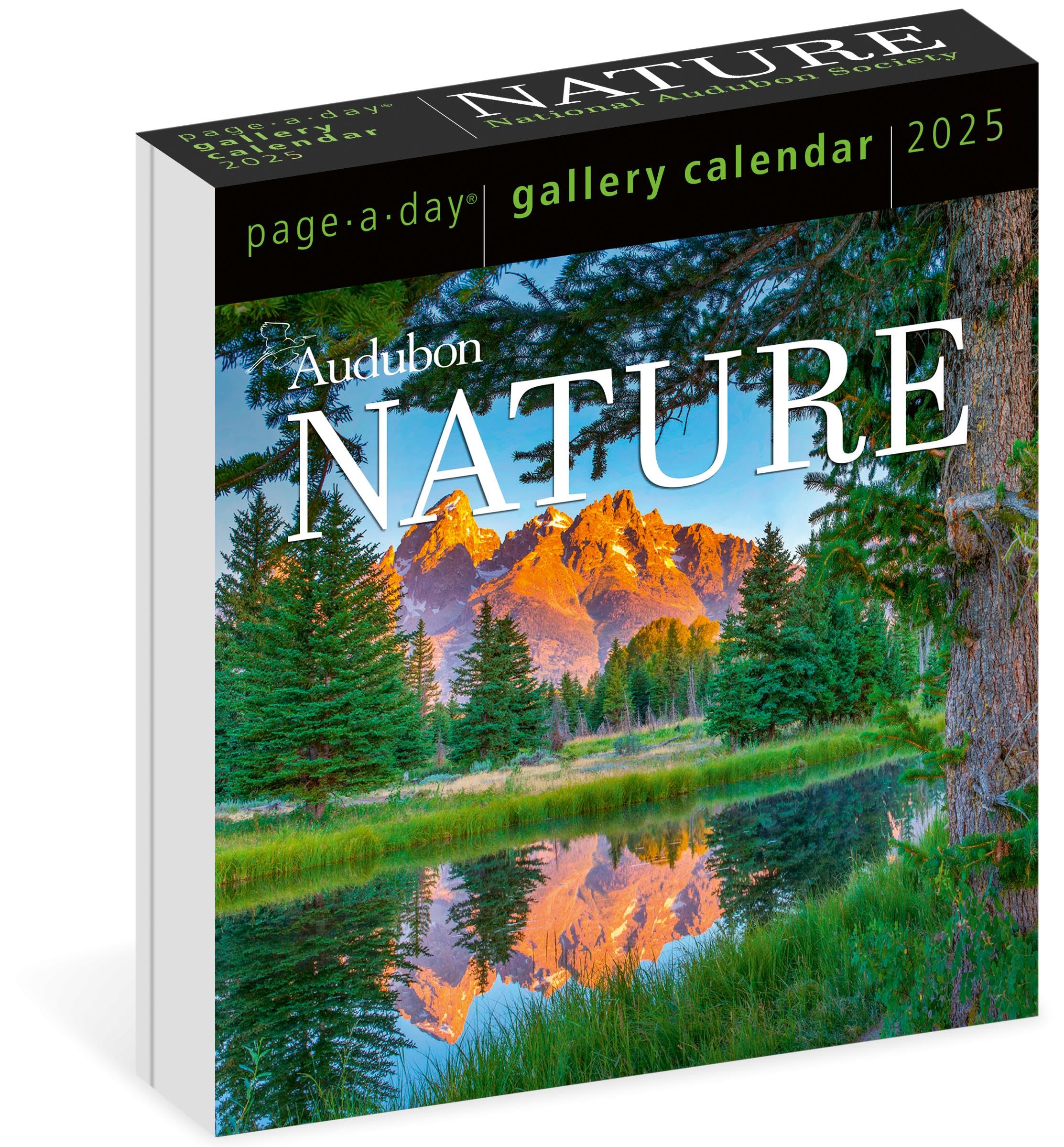 Photo 1 of Audubon Nature Page-A-Day® Gallery Calendar 2025