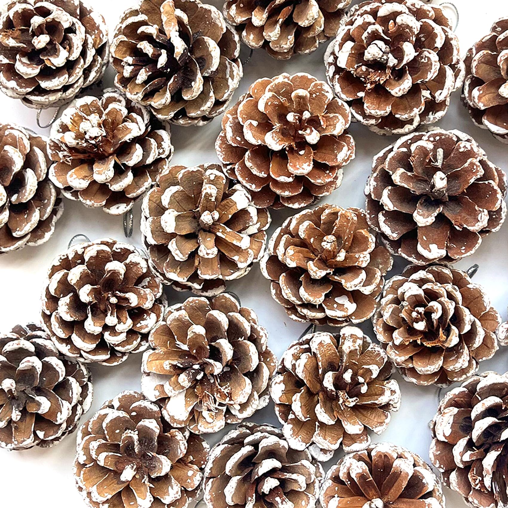 POTWPOT 20Pcs Snow Pine Cones Large Pine Cones with String for Craft Winter Holiday Hanging Ornament Home Decorations (5-6cm)