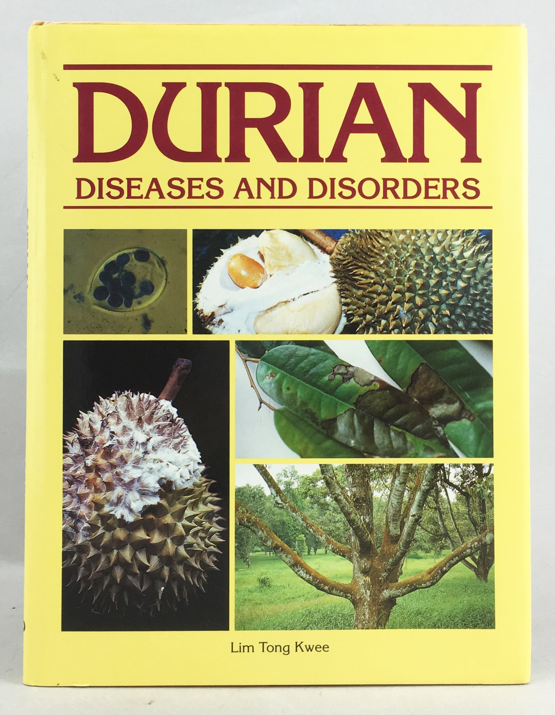 Durian: Diseases and Disorders
