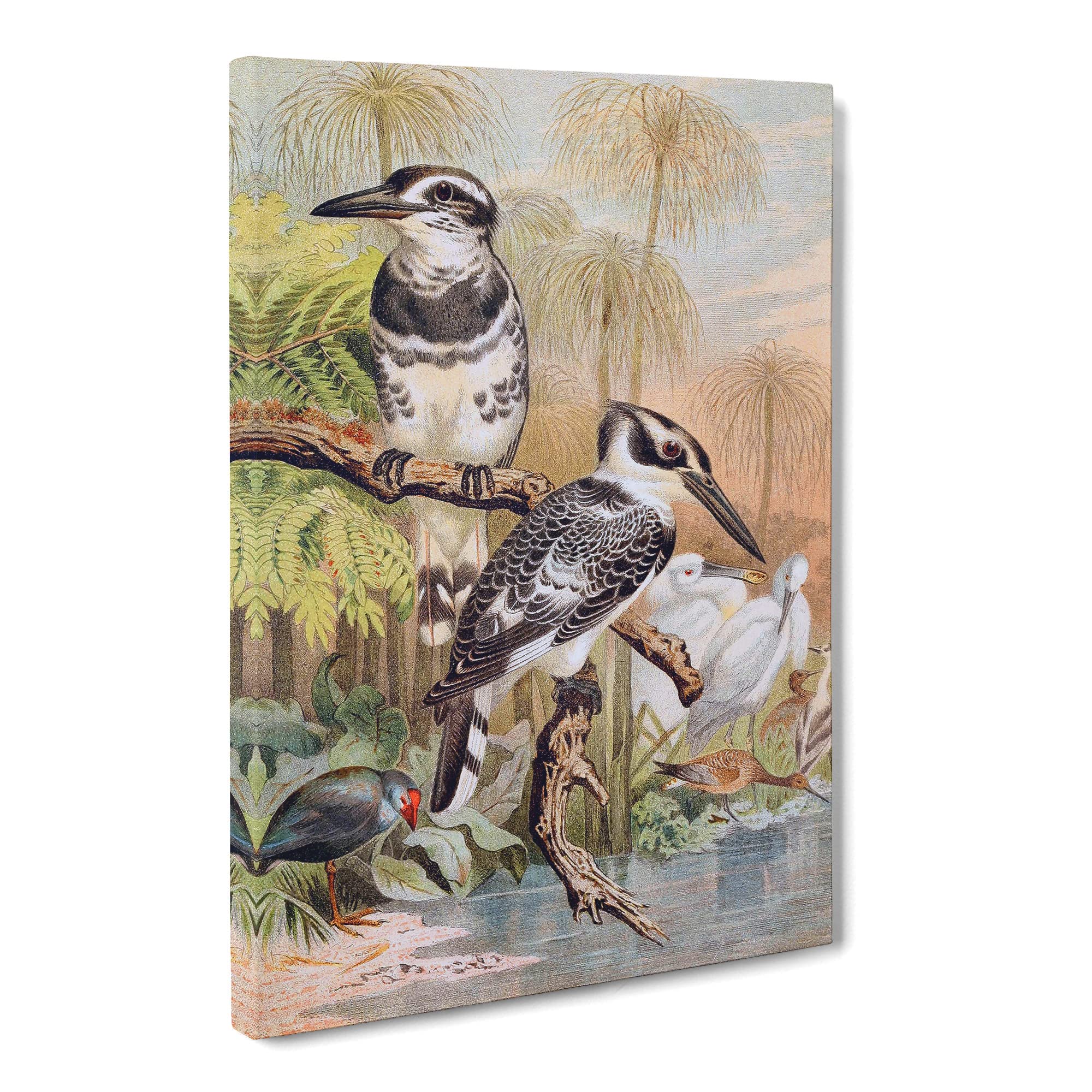 Brehms Tierlben Black & White Kingfisher Canvas Print | Gallery Wrapped 30mm Frame Wall Art | 20x14 inches | Ready to Hang | Retro Bird Picture | Living Room Bedroom Lounge Office