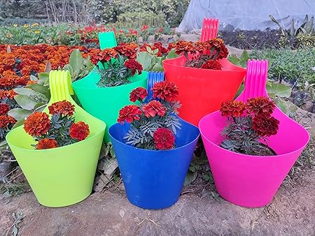 Kalfo Hanging Planter Pot Mug Balcony Railing Vertical Hook Planter Pot (Multicolor, Pack of 5 Pieces)