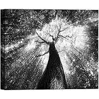 SIGNWIN Canvas Wall Art A View of Sunrise Underneath a Big Willow Tree Nature Wilderness Photography Modern Art Contemporary Dramatic Black and White for Living Room, Bedroom, Office - 12x18 inches