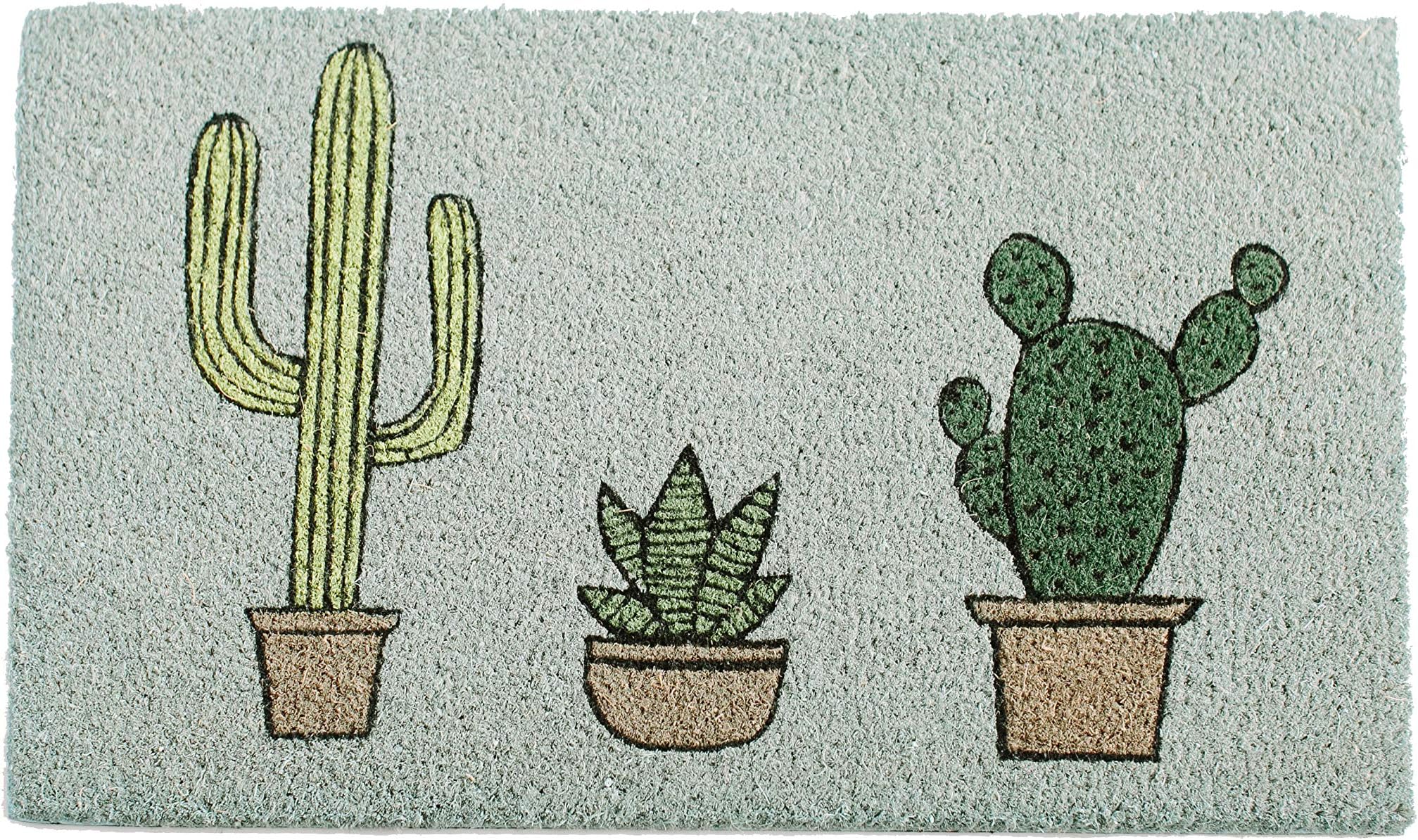Printed Coir Doormat - Summertime - Painted (Cactus)