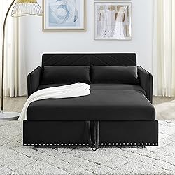 55-inch Loveseat Pull Out Sofabed ,Modern 3 in 1