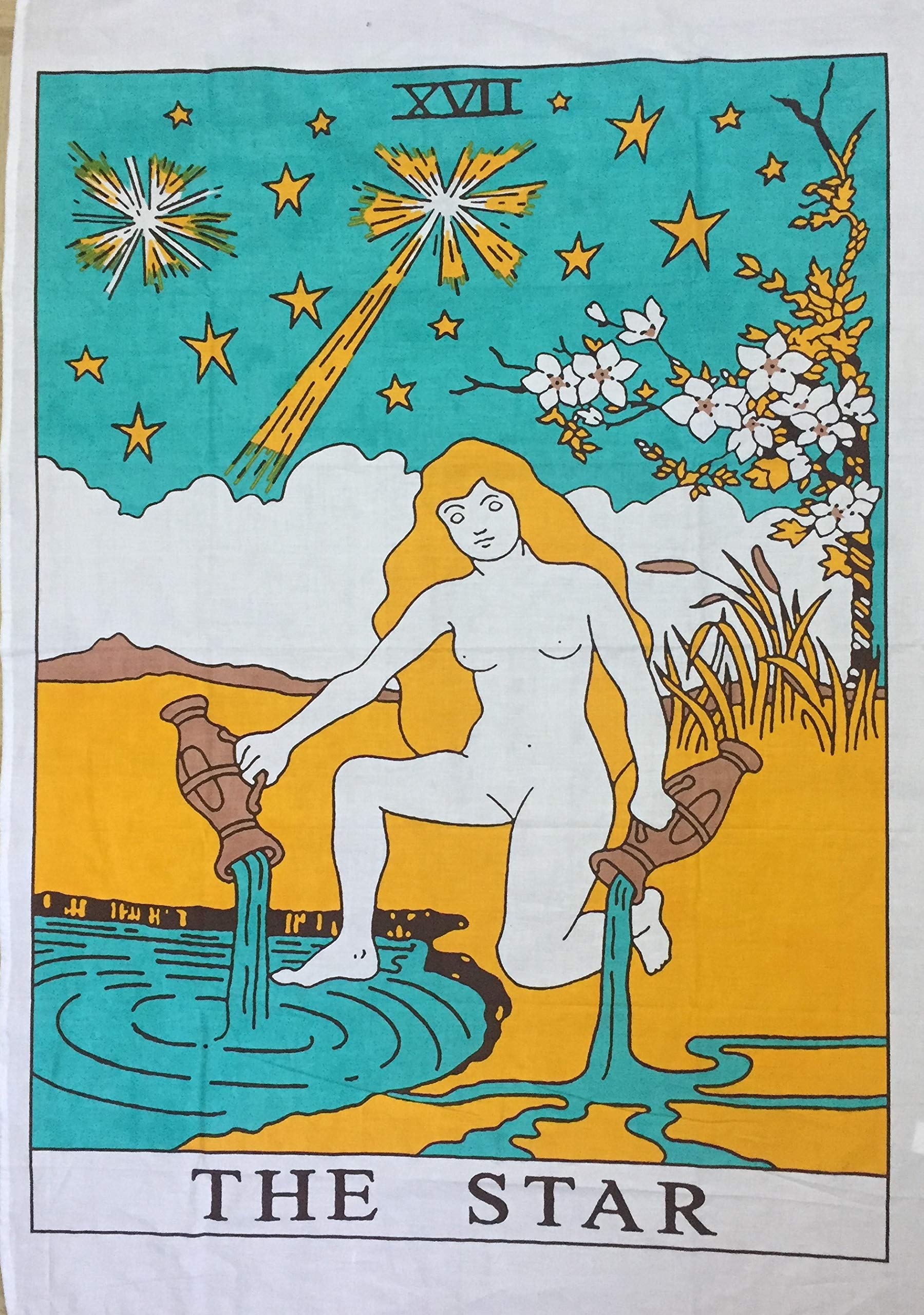 Indian Consigners Tarot Card Wall Tapestry, Decorative Hanging Art (The Star Color)