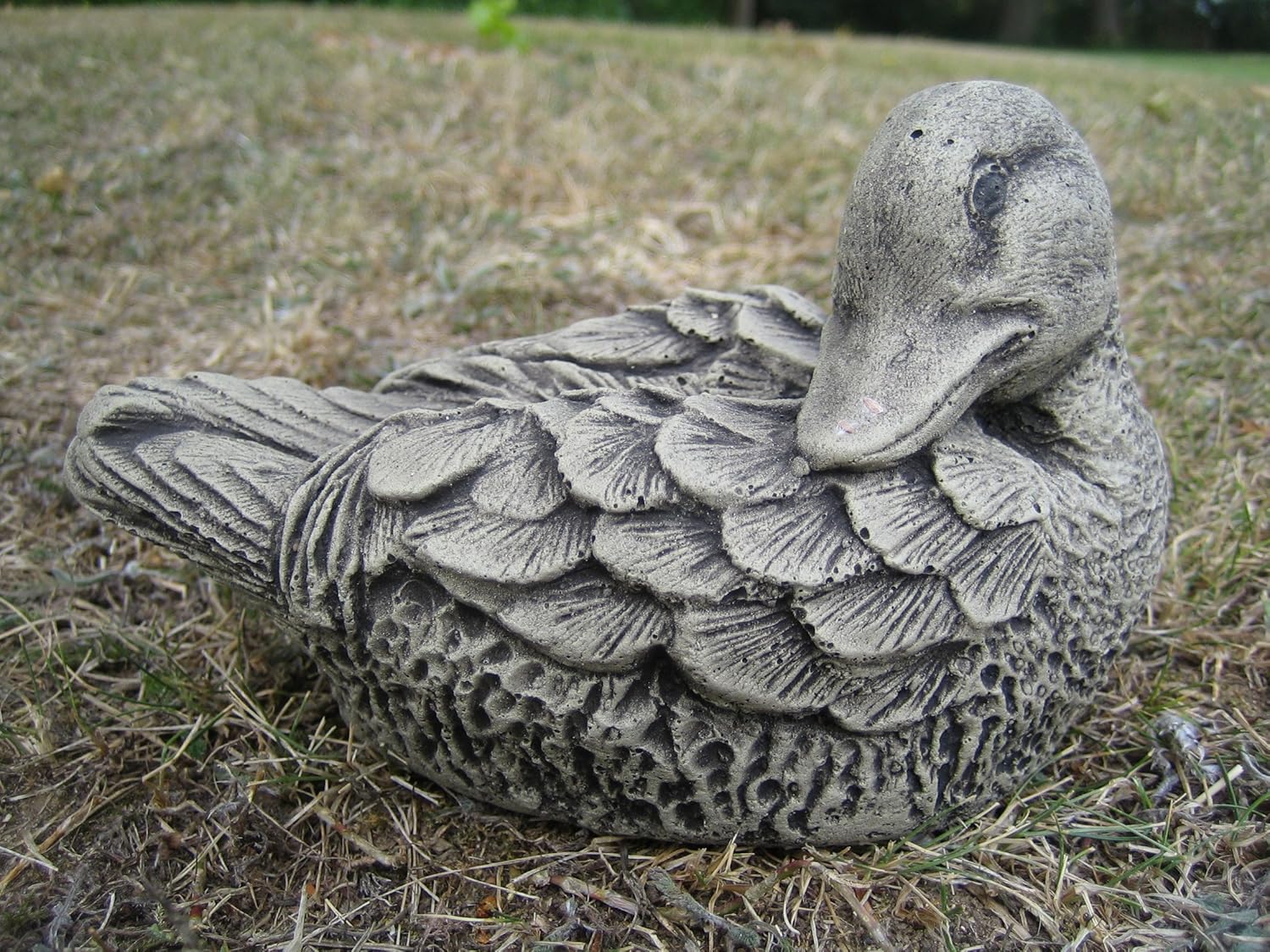 Duck (S) stone garden ornament Amazon.co.uk Garden & Outdoors