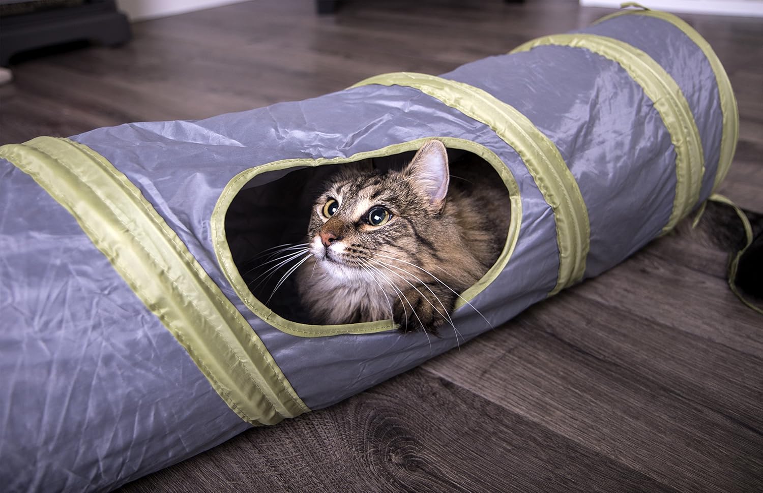 petlinks twinkle chute