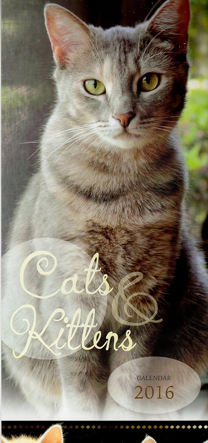 2016 mignon chats Chatons Hauteur slim Calendrier mural avec stylo sans Animaux de cadeau de Noël 2016 mignon chats Chatons Hauteur slim Calendrier mural avec stylo sans Animaux de cadeau de Noël