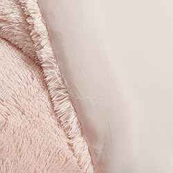 Lush Decor Emma Soft Fluffy Faux Fur Kids College