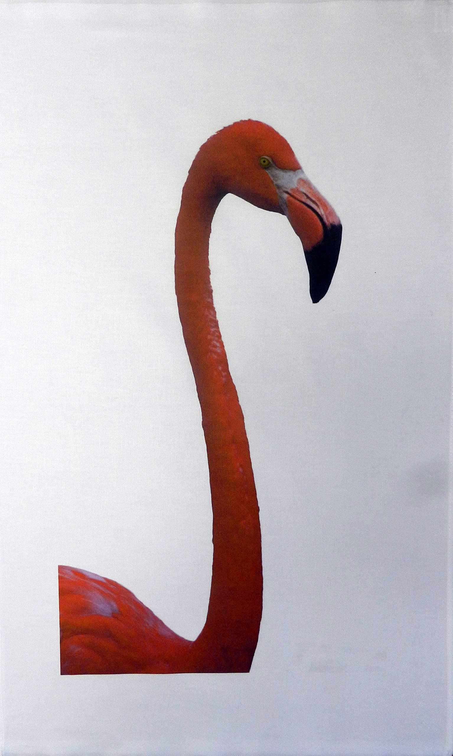 Half a Donkey Flamingo Head Cotton Tea Towel