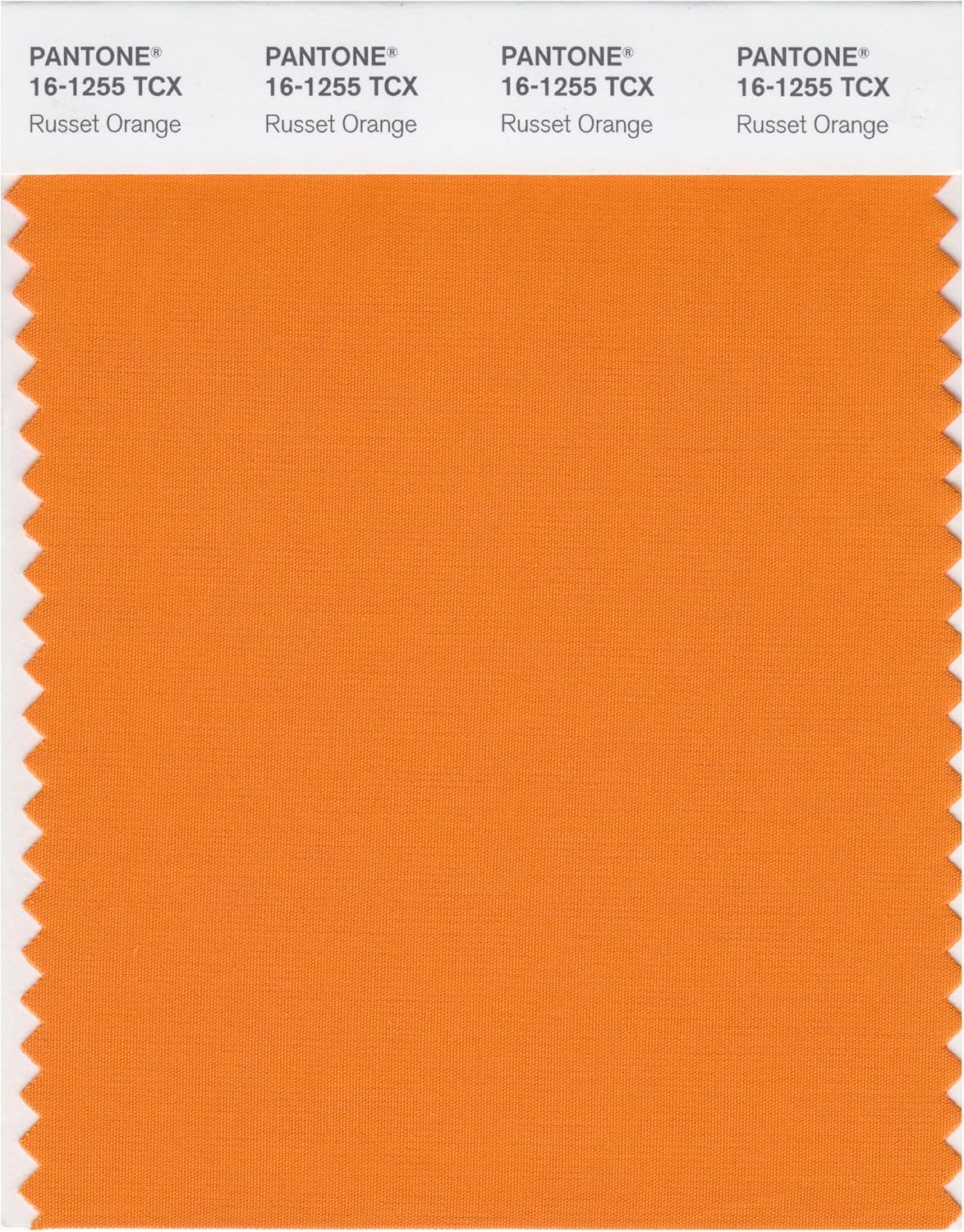 Amazon Com Pantone Smart 16 1255x Color Swatch Card Russet Orange Home Improvement