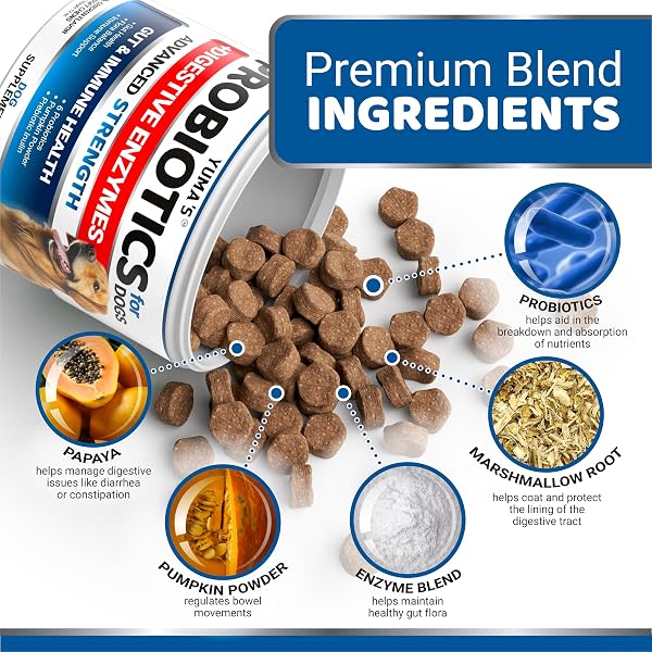 PROBIOTICS FOR DOGS AND DIGESTIVE ENZYMES – 170 DOG PROBIOTICS CHEWS – DOG PROBIOTIC – ANTI DIARRHEA, UPSET STOMACH & GAS RELIEF, CONSTIPATION, CANINE PREBIOTIC – PET FIBER SUPPLEMENT – GUT HEALTH