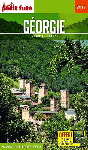 Download Guide Géorgie 2017 Petit Futé PDF