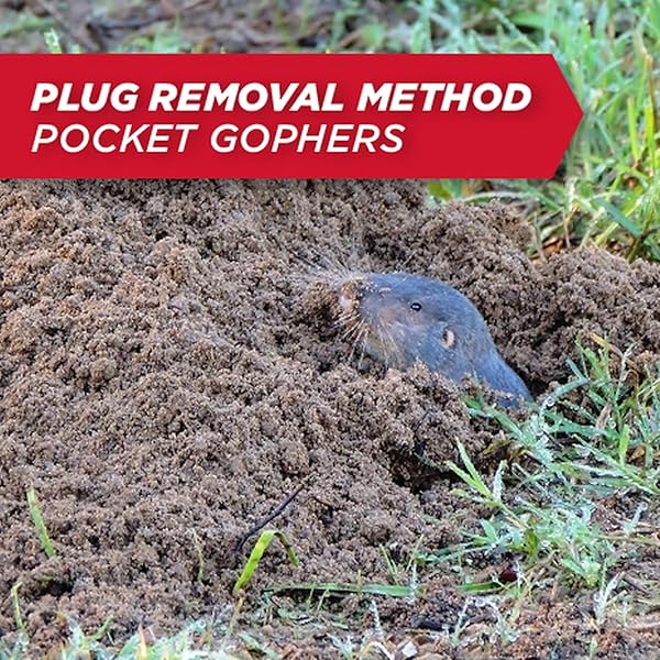 AMDRO AMDRO MOLE AND GOPHER AMDRO MOLE & GOPHER BAIT, CLEAR
