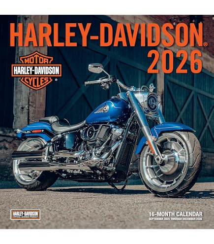 Amazon.com: Harley-Davidson Black Ceramic Gas Tank Bank 120th