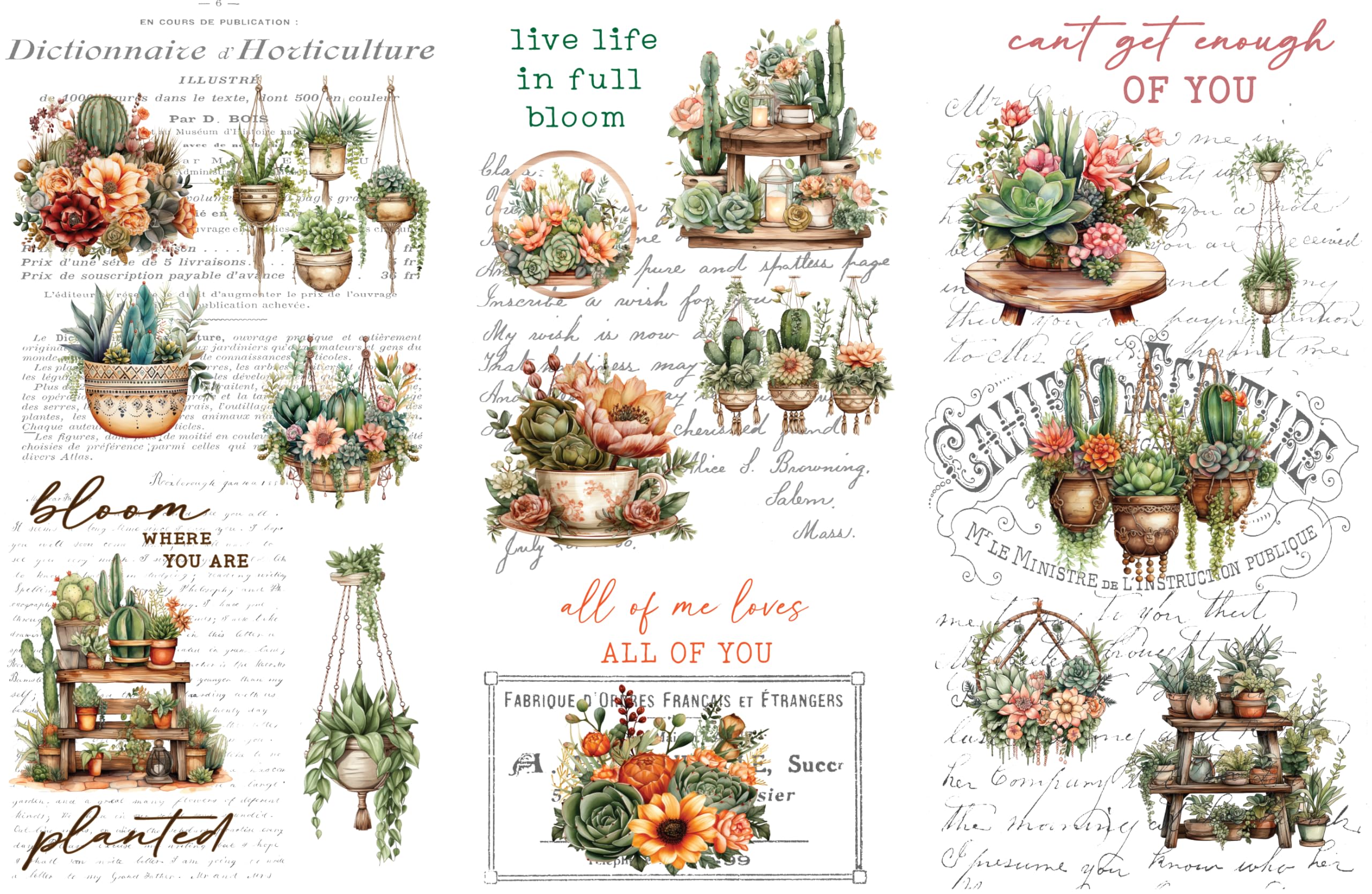 Rub on Transfers for Crafts and Furniture | 3 Design Sheets 6”x 12” | Home Decor Transfers | Furniture and Craft Decals | by Thymeless Designs (Succulent Garden)