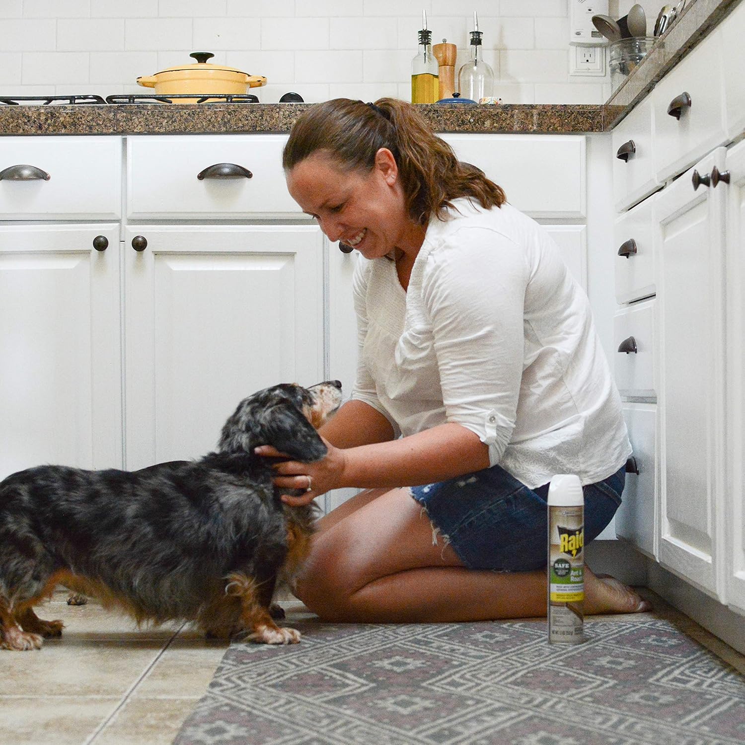 Raid Ant & Roach Killer Spray for Listed Bugs, Insect, Spider, For Indoor Use, Essential Oils, Child & Pet Safe, 11 Oz, Pack of 1: Health & Personal Care