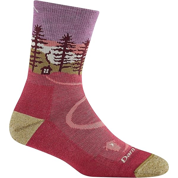 Amazon.com: Darn Tough Vermont Womens Wandering Stripe Micro Crew