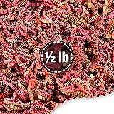 FRILLZ Crinkle Cut Paper Shred Filler for