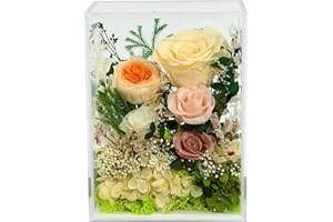 Valley of Rain & Forest Long-Lasting Real Flowers, Handcrafted Preserved Rose Bush For you to Send Love for All Occasions, Fl