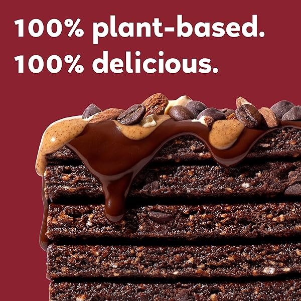 GOMACRO MACROBAR ORGANIC VEGAN PROTEIN BARS – MOCHA CHOCOLATE CHIP (2.3 OUNCE BARS, 12 COUNT)