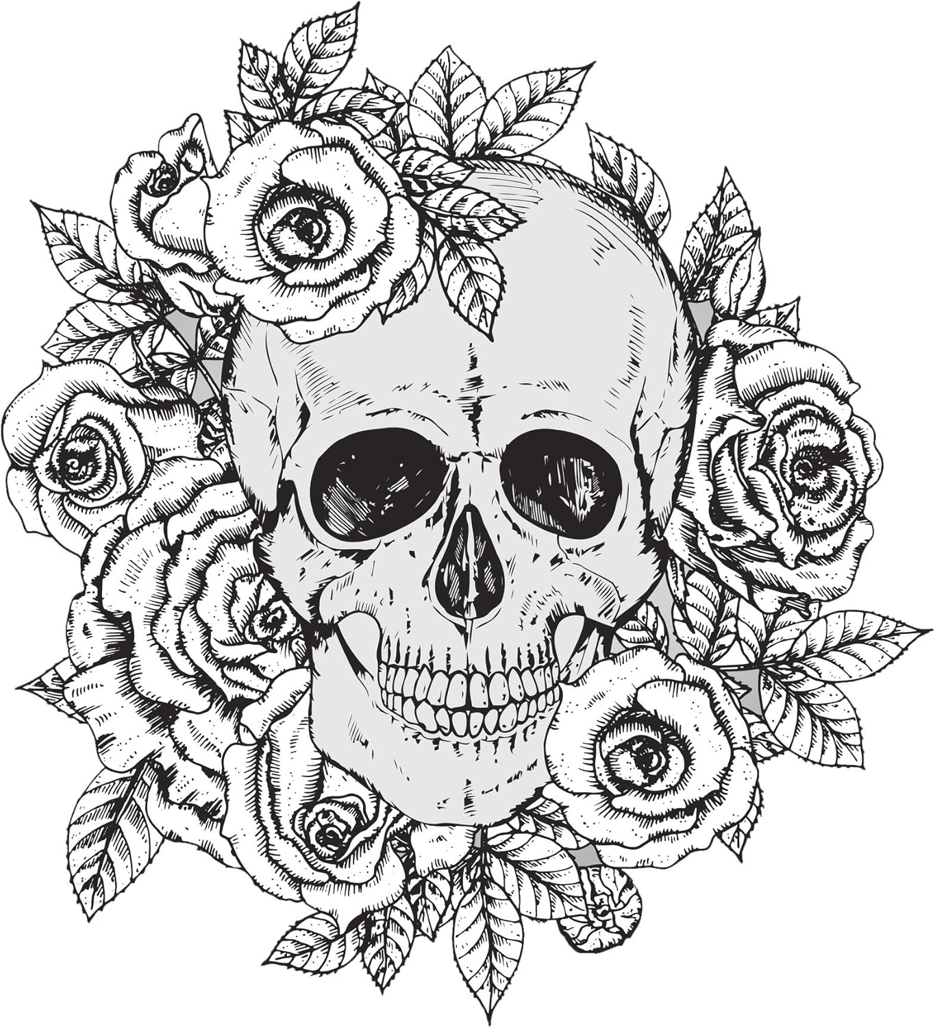 Amazon Com Divine Designs Black And White Pencil Sketch Skull