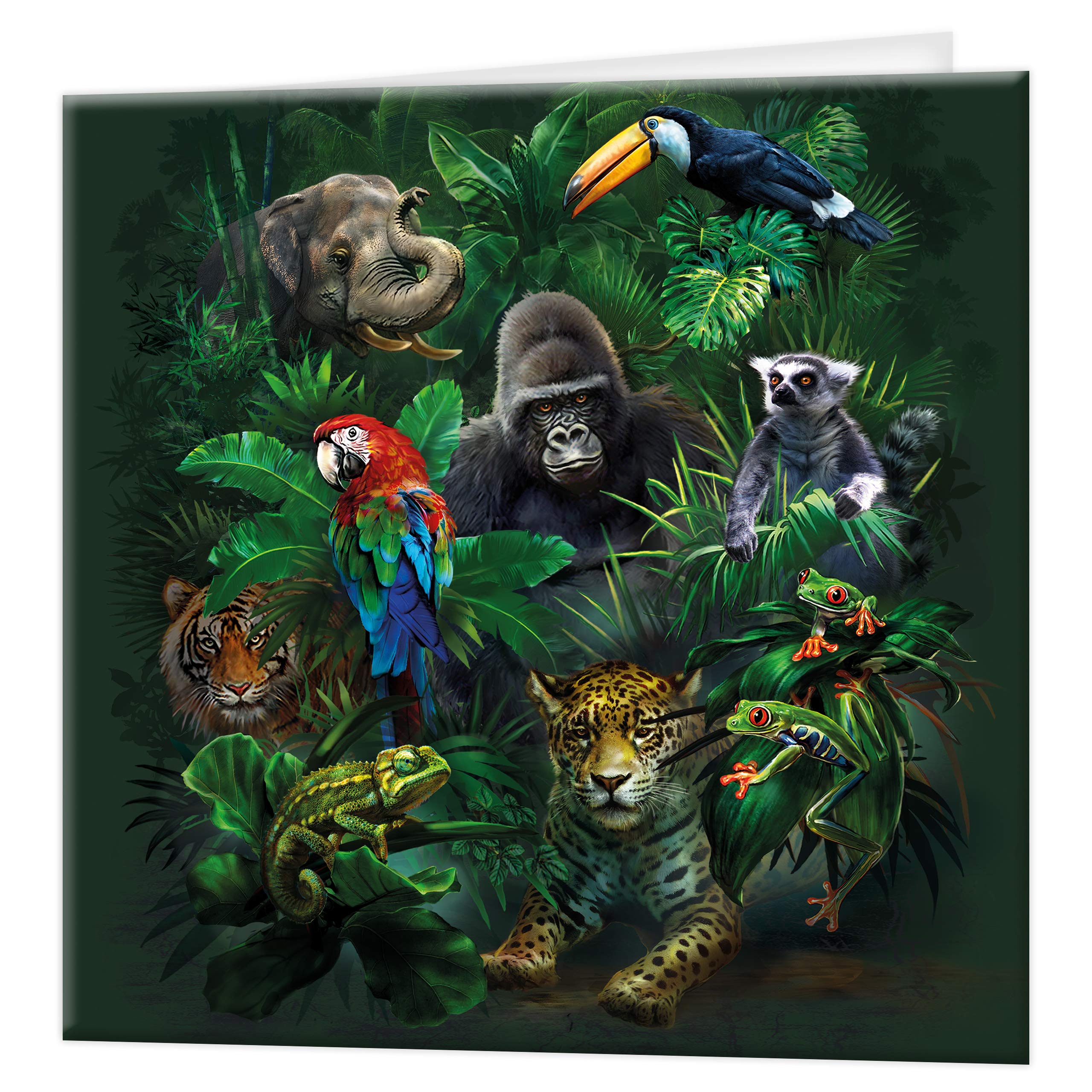 3D LiveLife Greeting Card - Jungle Pals from Deluxebase. Lenticular 3D Blank Greeting Cards with Envelopes. Jungle All Occasion Greeting Cards featuring Original Artwork by Tami Alba