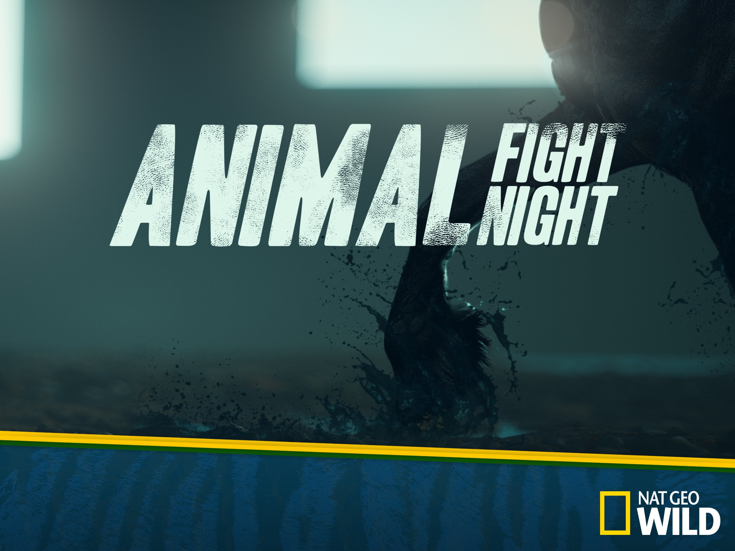 Watch Animal Fight Night Season 5 Prime Video Watch Animal Fight Night Season 5 Prime Video