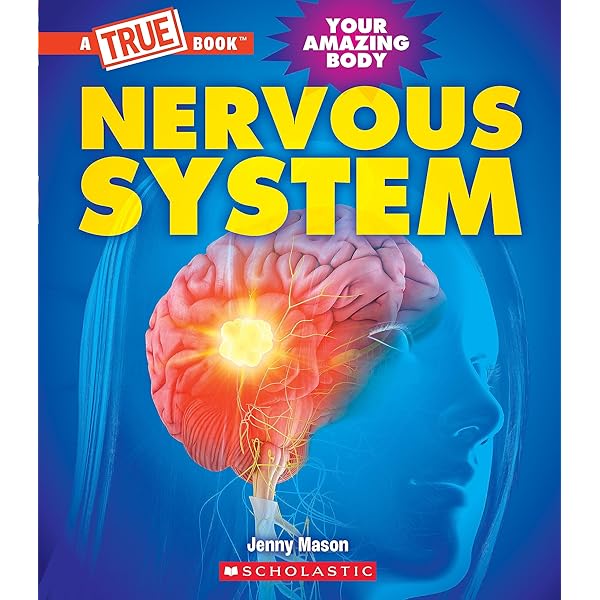 Amazon.com: Survive! Inside the Human Body, Vol. 3: The Nervous