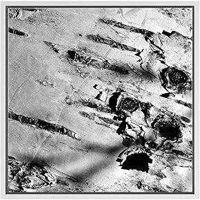 SIGNWIN Framed Canvas Wall Art White Aspen Forest...