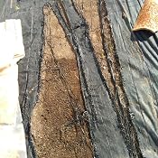 Jardin202 2 x 50 m - Malla Antihierbas (Negro) 120gr - Rollos ...