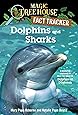 Dolphins And Sharks A Nonfiction Companion To Magic Tree House 9 Dolphins At Daybreak Magic