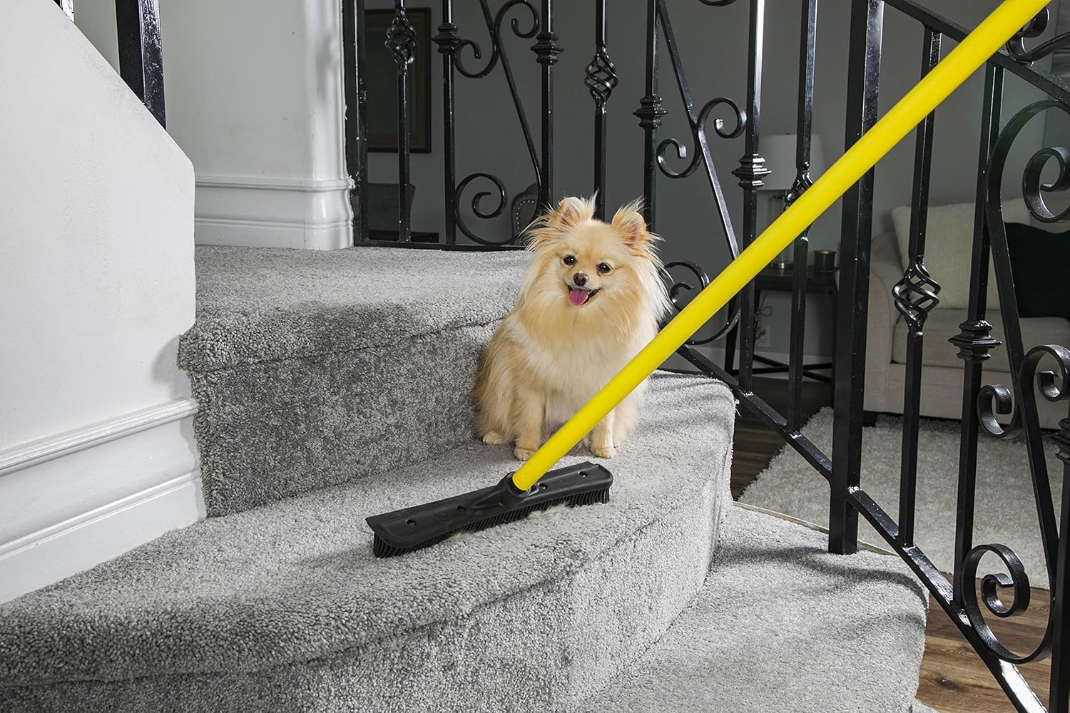 FURemover Broom SW-250I-AMZ-6, Pet Hair Removal Tool with Squeegee & Telescoping Handle That Extends from 3 - 5', Black & Yellow: Pet Supplies