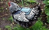 DOWN UNDER OUTDOORS Chicken Saddle Adjustable Medium Large Hens Poultry view 6