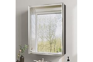 QueenFun 20''x 26'' Brushed Nickel Medicine Cabinet, Recessed or Surface Framed Medicine Cabinet with Beveled Mirror Pre-Assembled, Reversible Bathroom Storage Vanity Cabinet with Adjustable Shelves