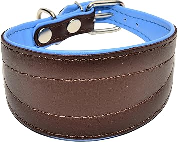lurcher collars amazon
