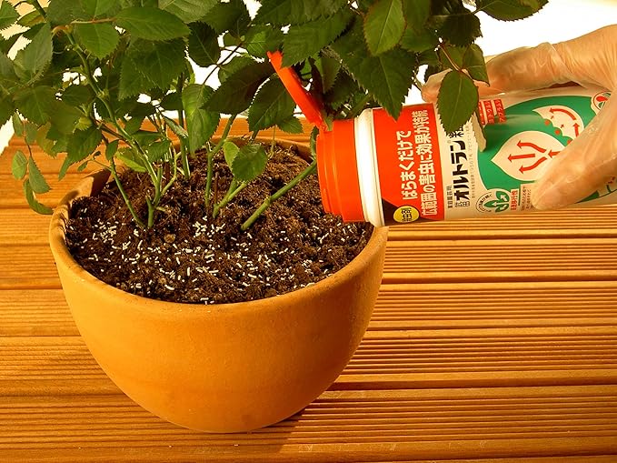 Amazon 住友化学園芸 殺虫剤 家庭園芸用gfオルトラン粒剤 0g Diy 工具 ガーデン