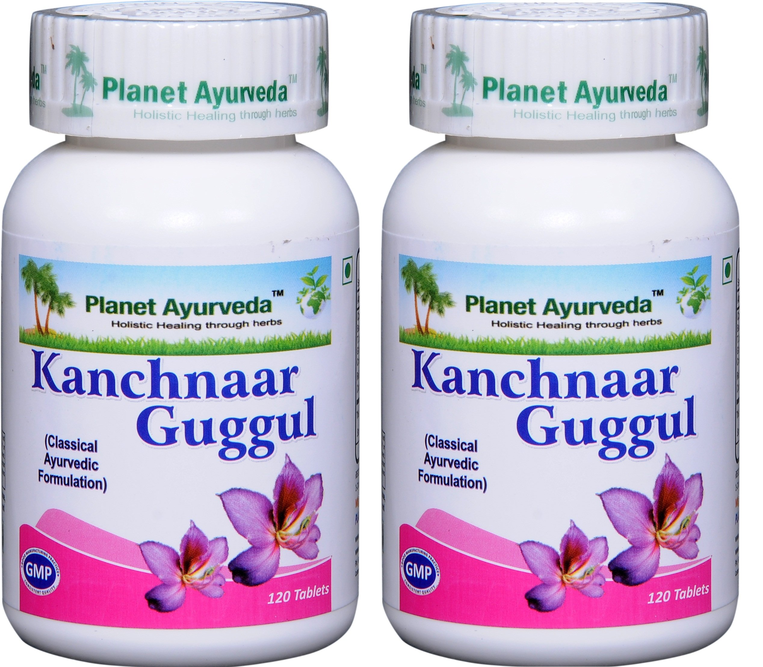 Ayurveda Kanchnaar Guggul Herbal Tablets, 100 Natural 2